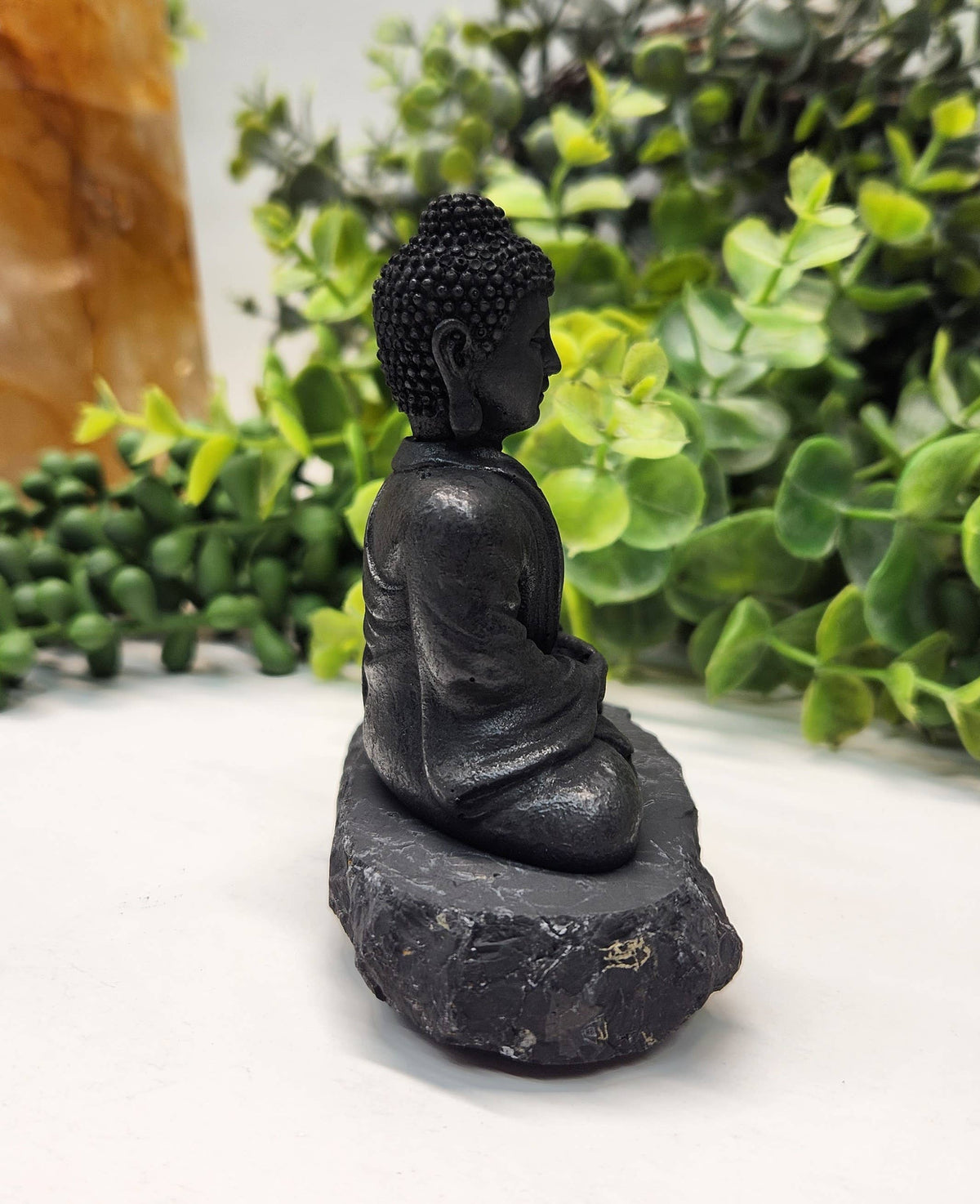 Black Buddha statue on a white surface with greenery in the background
