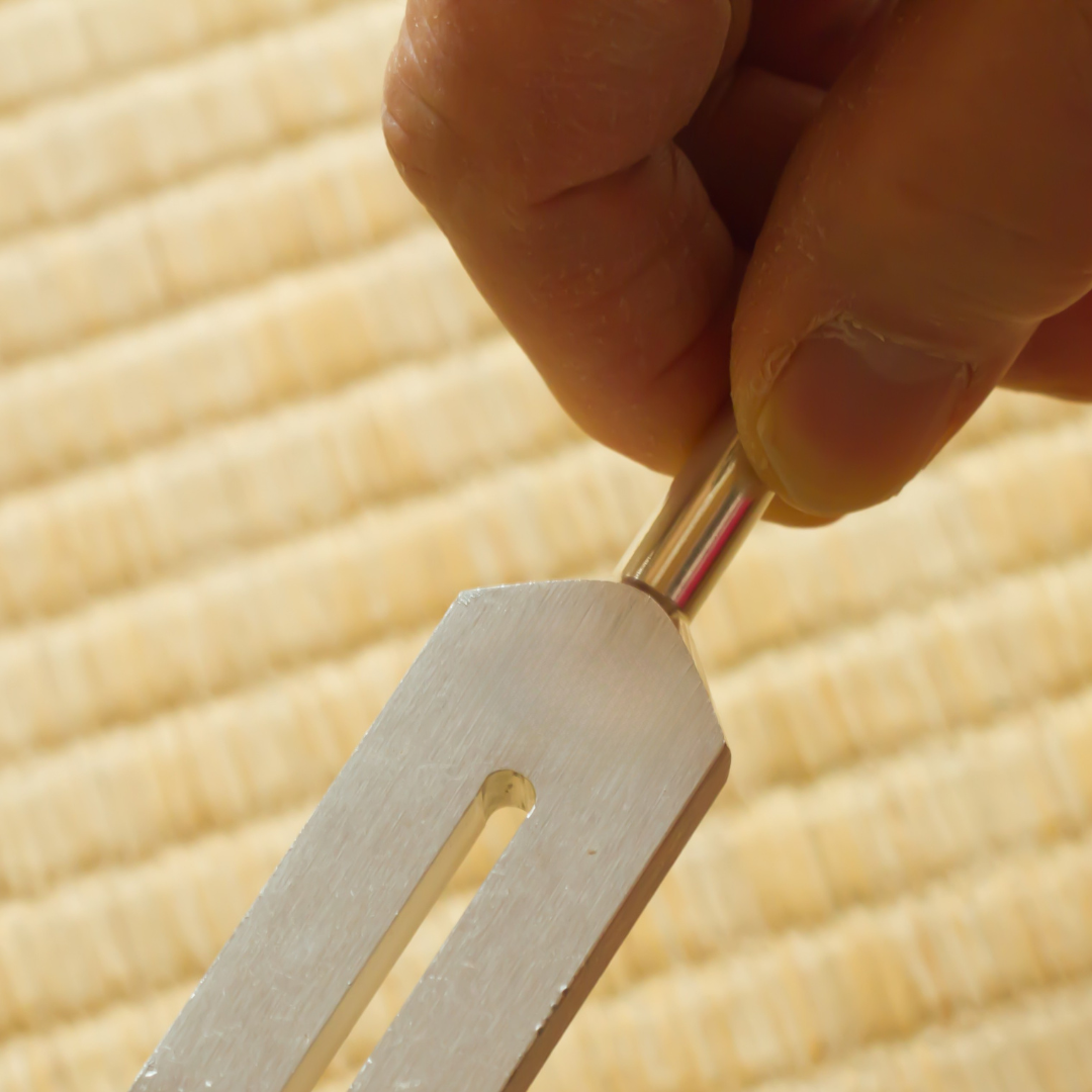 Hand holding a tuning fork against corn on the cob