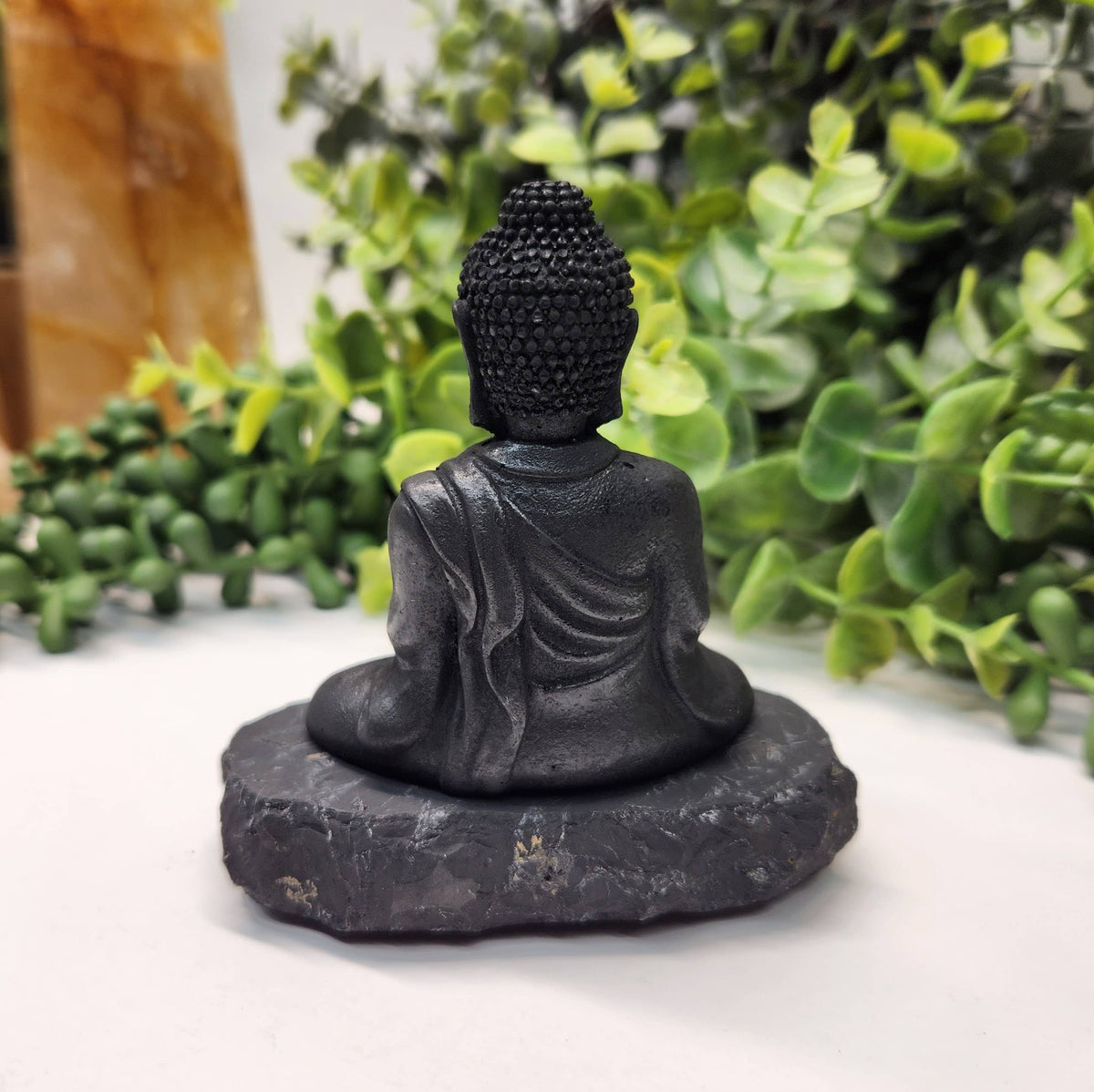 Black Buddha statue on a white surface with green plants in the background
