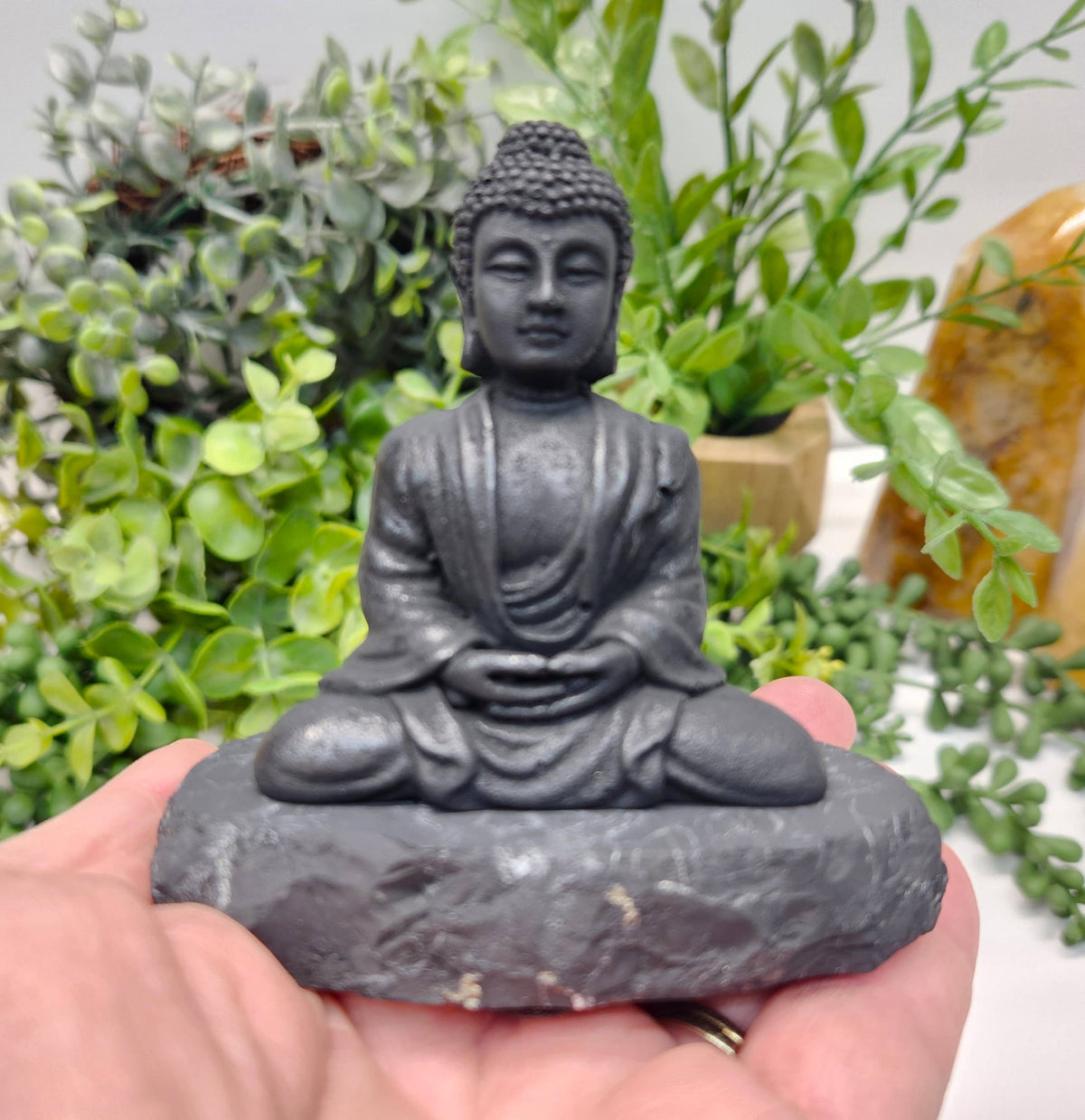 Black Buddha statue held in hand with green plants in the background