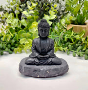 Buddha statue on a rock with green plants in the background