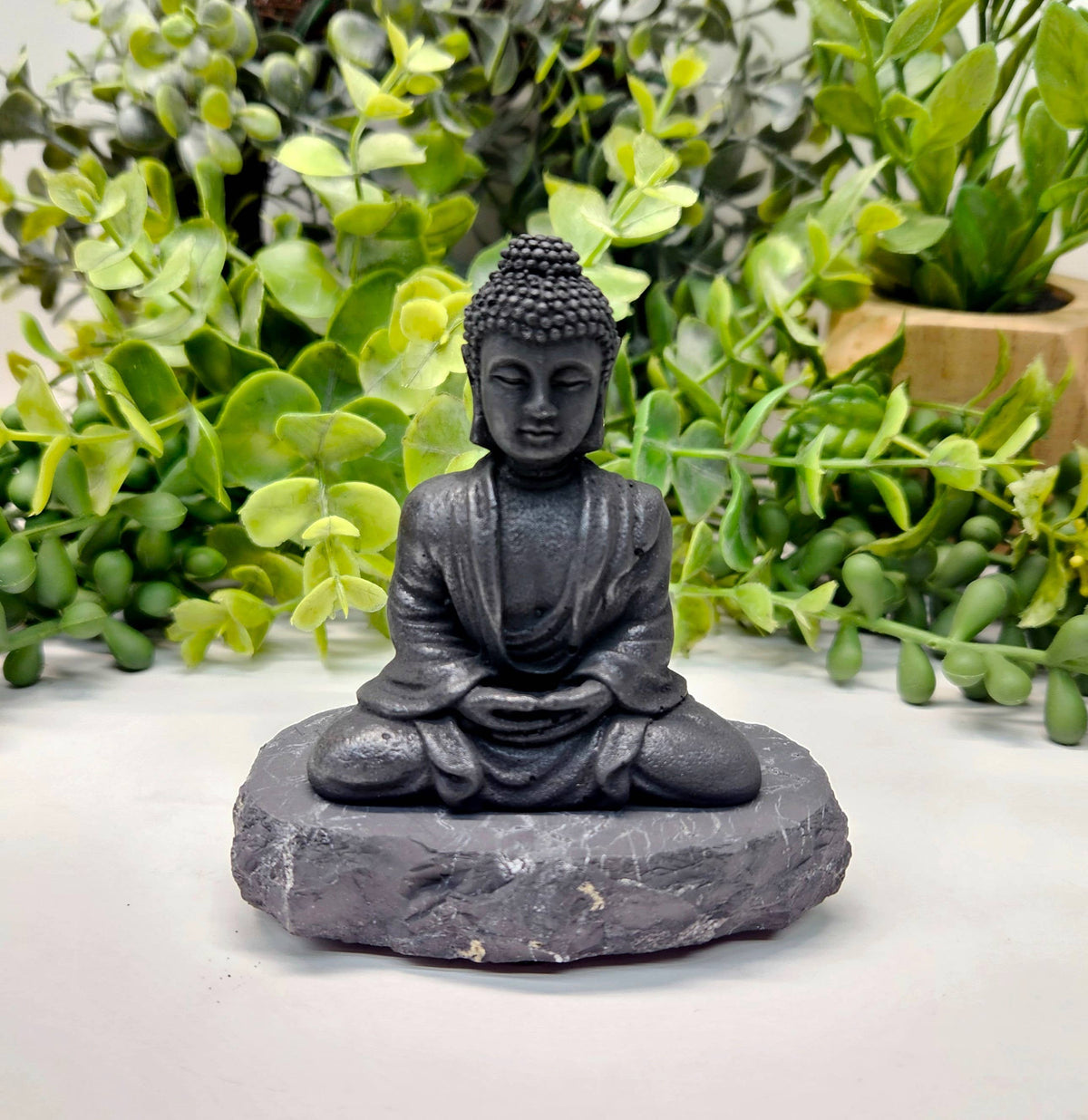 Buddha statue on a rock with green plants in the background