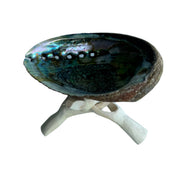 ABALONE SHELL SMUDGING BOWL WITH STAND 5 - 6 INCHES - burning charcoals - beautiful shells - Joy - Journey of You