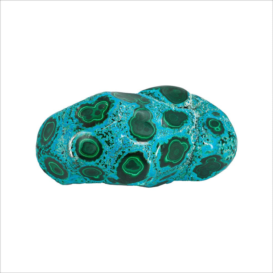 A polished specimen of Chrysocolla and Malachite with a distinctive pattern of green circular markings on a blue background.