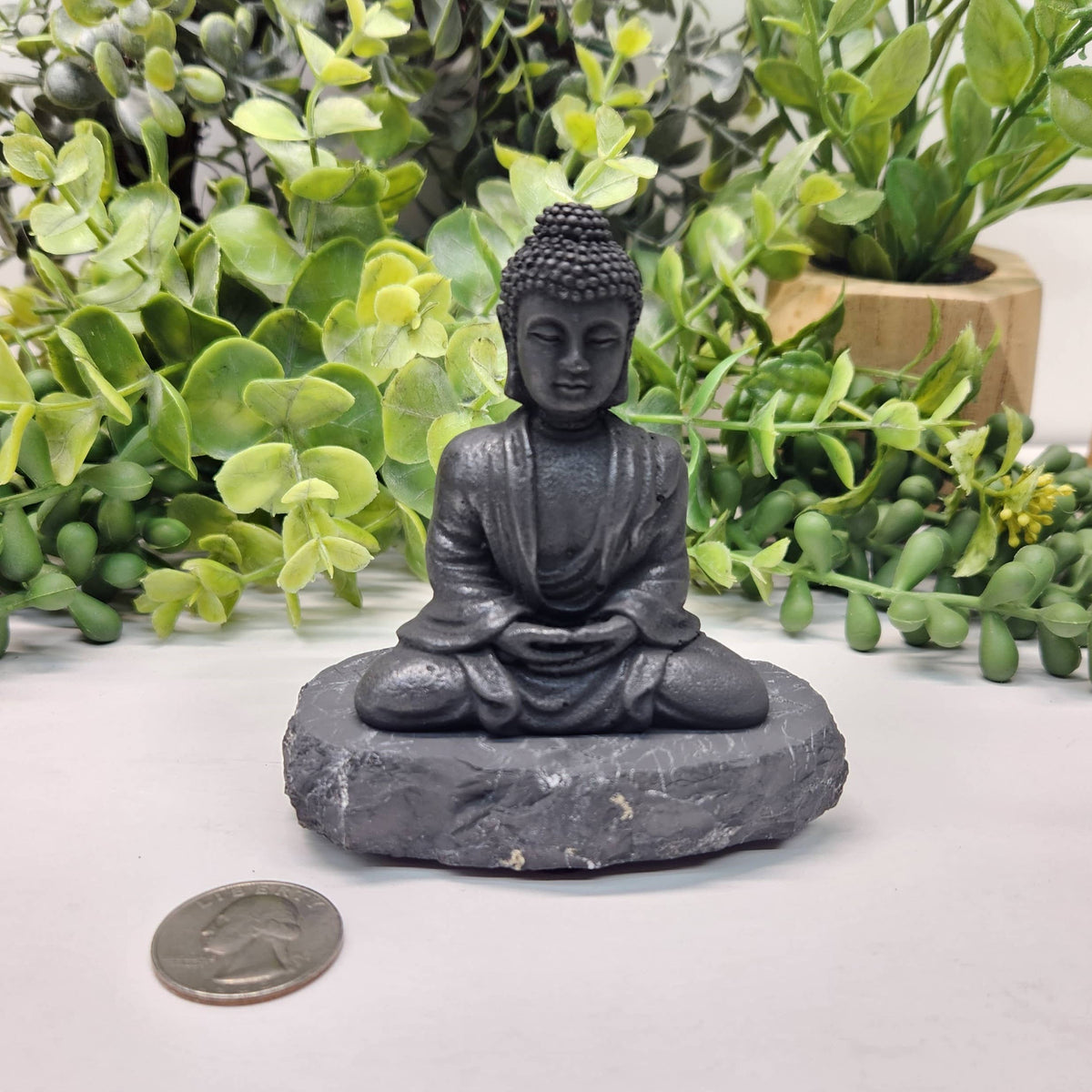 Small black Buddha statue on a rock with green plants in the background