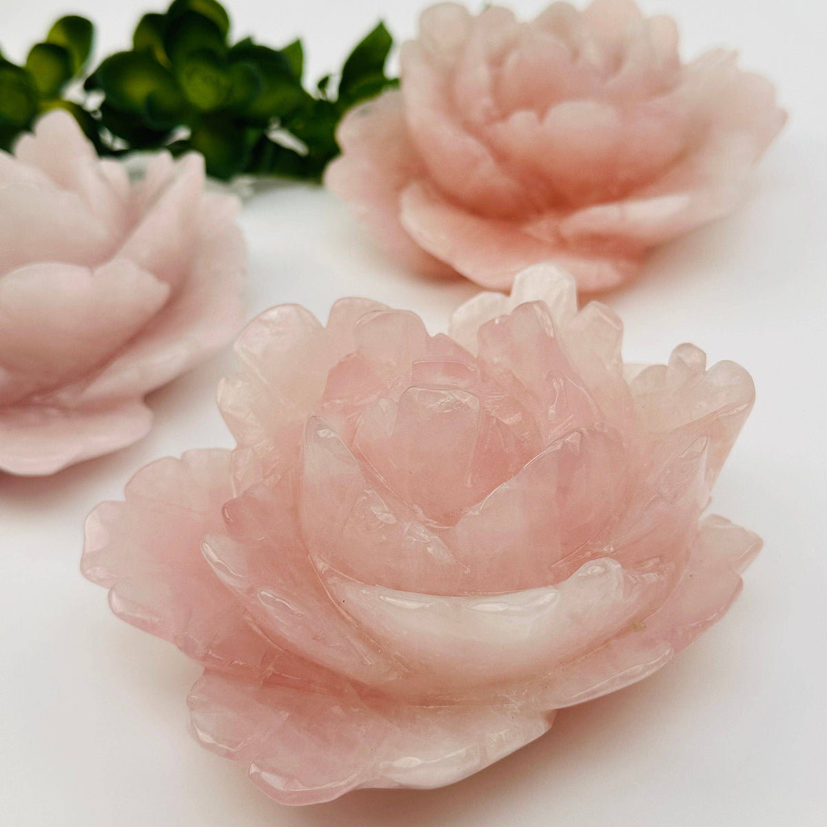 Pink rose-shaped objects on a white background
