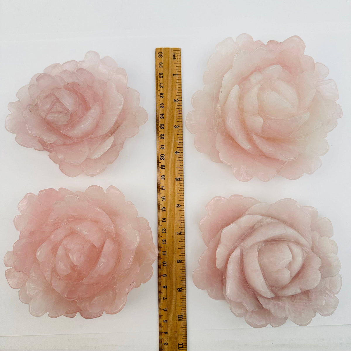 Four pink roses with a ruler for scale on a white background